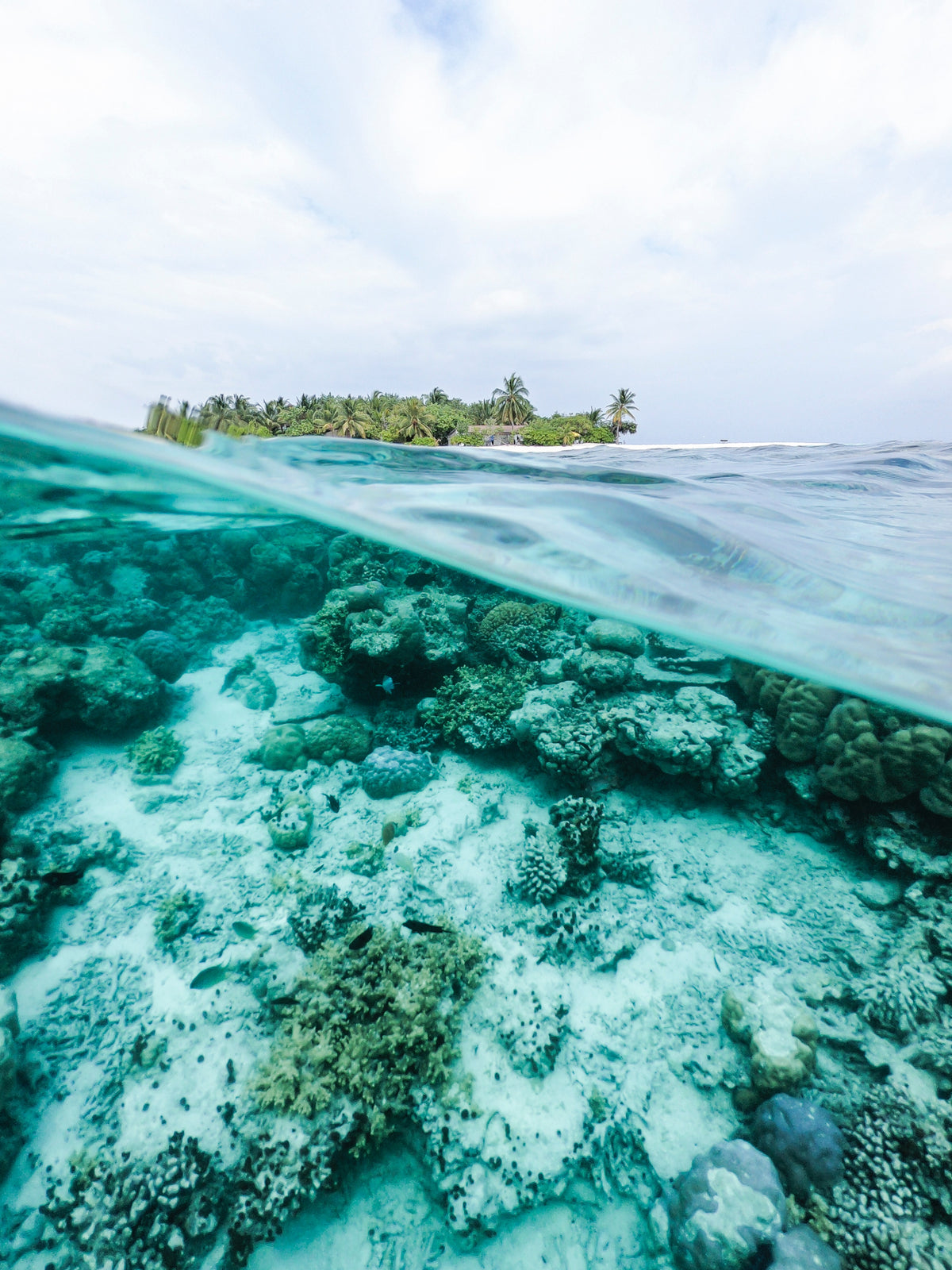 How Liquiproof LABS Helps Our Planet